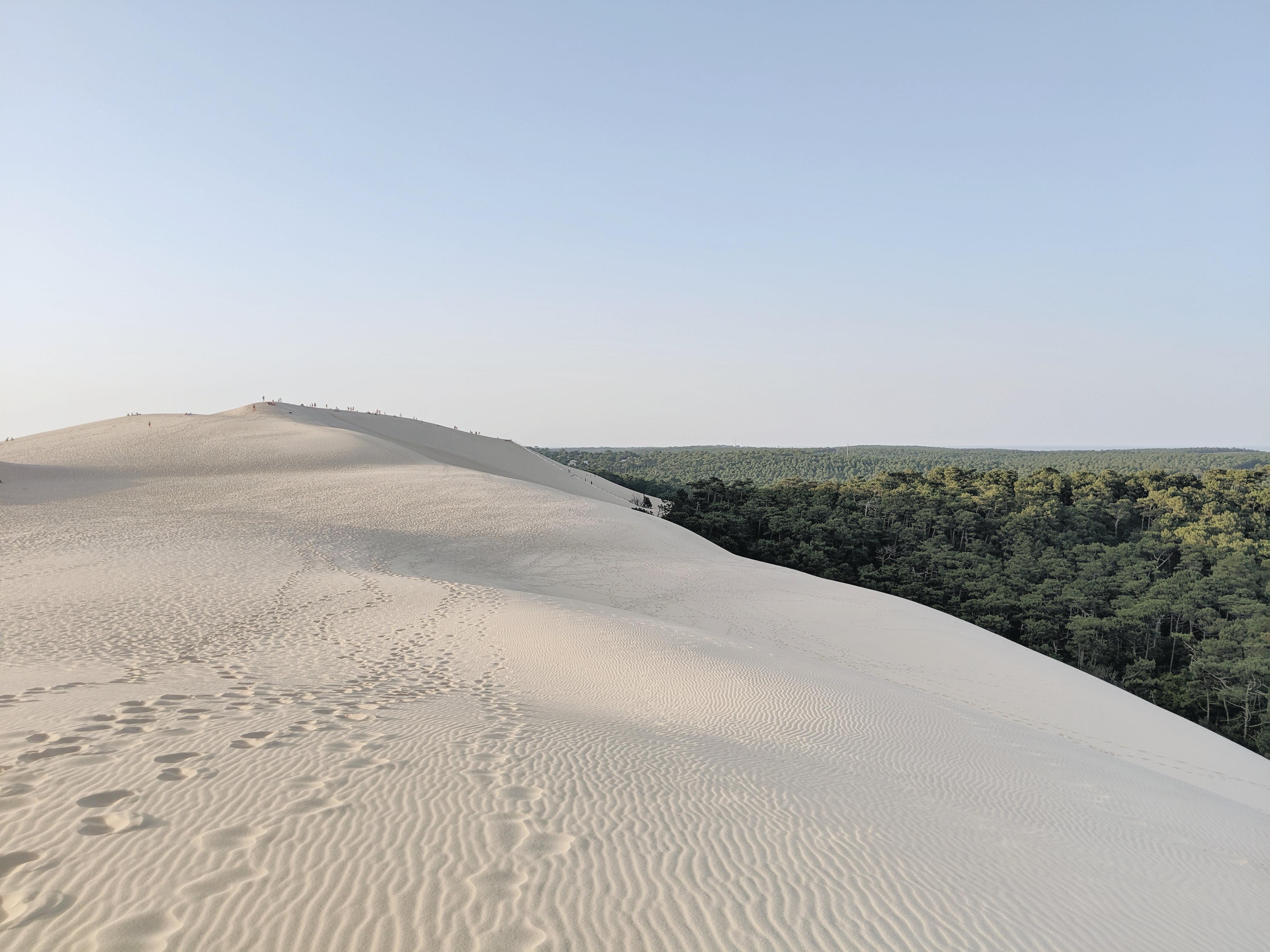 อินเตอร์คอนติเนนตัล บอร์โด เลอ กร็อง โฮเต็ล Hotel ภายนอก รูปภาพ The dunes at the park