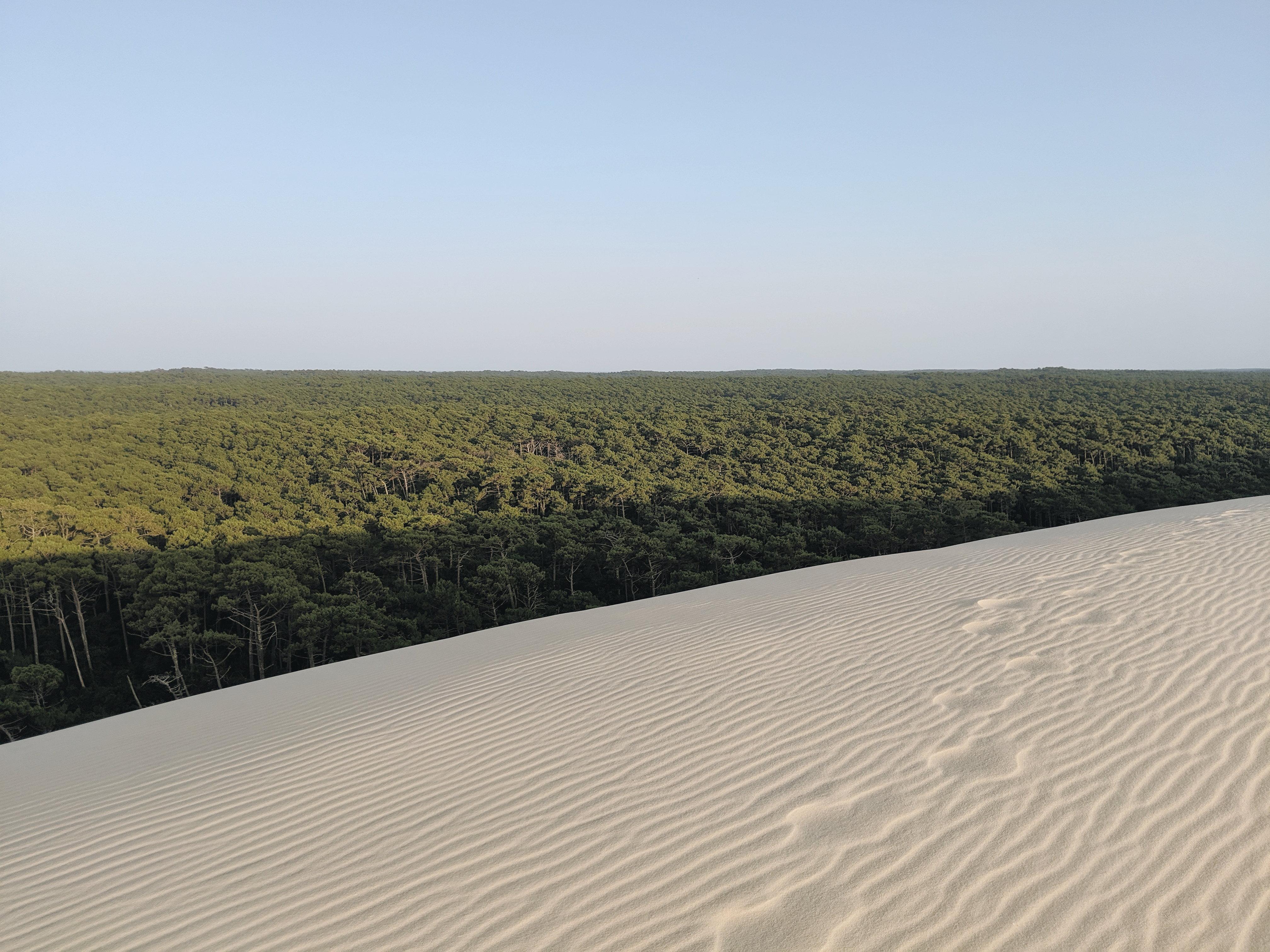 อินเตอร์คอนติเนนตัล บอร์โด เลอ กร็อง โฮเต็ล Hotel ภายนอก รูปภาพ The Great Western Woodlands